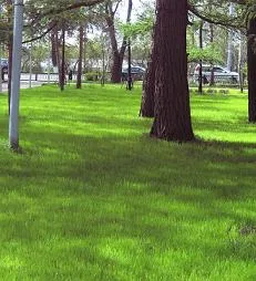 260500 () - Kert- és a táj építési