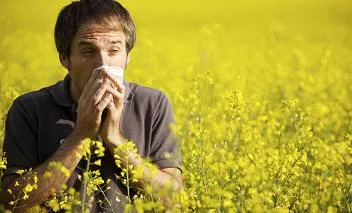 Az allergiás nátha tünetei és felnőttek kezelésére (allergiás) Az allergiás nátha tünetei és a kezelés felnőtteknél