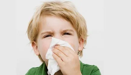 Allergiás köhögés egy gyermek és egy felnőtt támadást tünetek és a kezelés (profilaxis) Allergiás köhögés egy gyermek és egy felnőtt támadás tünetek és a kezelés