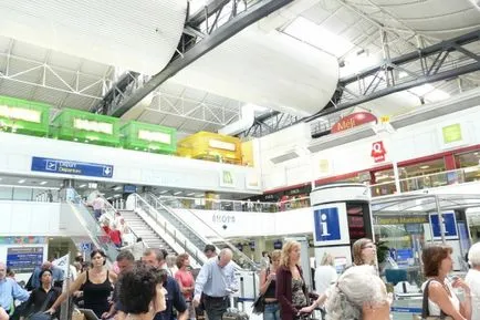 Nice Airport - Arriva