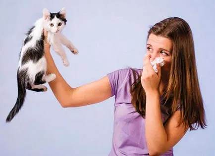 Az allergiás nátha és annak kezelése a népi jogorvoslati (népszerűbb) Az allergiás nátha és annak kezelése a népi jogorvoslatok