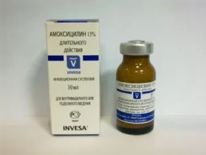 Az amoxicillin dózis a macskák és instrukitsiya alkalmazásáról szóló az antibiotikum (ok) Az amoxicillin dózis a macskák és instrukitsiya használatára antibiotikum