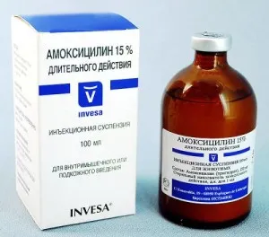 Amoxicillin macska instrukitsiya adagolási és használati utasítás az antibiotikum (amoxicillin szuszpenziót adagoljuk) Az amoxicillin dózis a macskák és instrukitsiya használatára antibiotikum