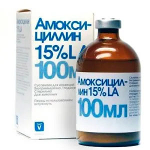 Az amoxicillin dózis a macskák és instrukitsiya a használata egy antibiotikum (amoxicillin állatorvosi) Az amoxicillin dózis a macskák és instrukitsiya használatára antibiotikum