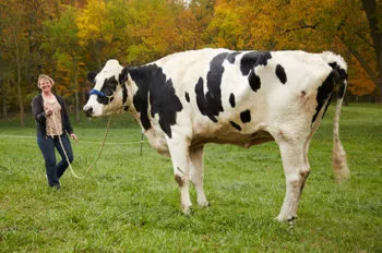 Abnormálisan nagy Animal Planet