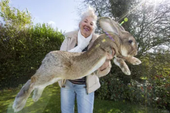 Abnormálisan nagy Animal Planet