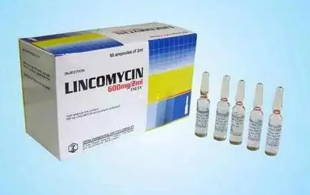 Antibiotk lincomycin véleménye, utasítások