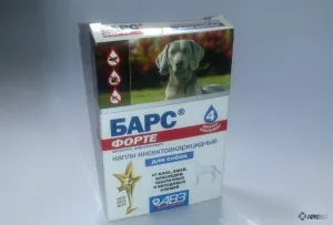 Bars forte (csepp) a kutyák és a macskák, véleménye a kábítószer-használat az állatok az állatorvosok és a