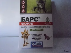Bars forte (csepp) a kutyák és a macskák, véleménye a kábítószer-használat az állatok az állatorvosok és a