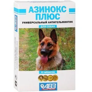 Azinoks plusz kutyák és alaptulajdonságait a találkozó, a használati utasítást