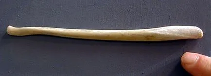 Baculum - az elveszett emberiség öröksége (több napon) Baculum - az elveszett emberiség örökségének