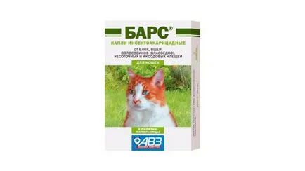 Bars csepp macskák, a leírás és javaslatok
