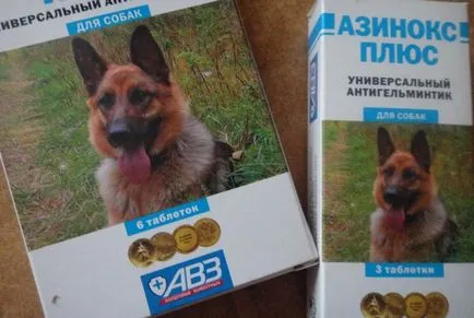 Azinoks plusz kutya oktatás, összetétele és alkalmazása, mind a kutyák (útmutató) Azinoks plusz kutya oktatás, összetétele és alkalmazása, mind a kutyák