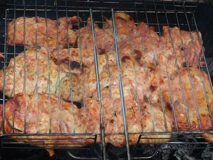 Grill csirke a grill - ízletes és zamatos nyárs csirke paradicsomos mártással - lépésről lépésre recept fotók