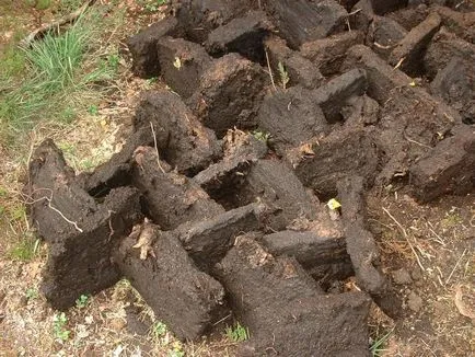 Nitrogén műtrágyák, hogyan és mikor kell megtermékenyíteni