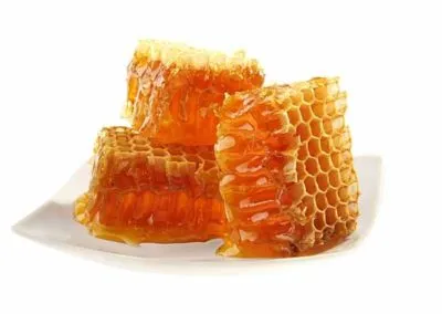 Begonia szaporítás dugványozással vízben lap otthon