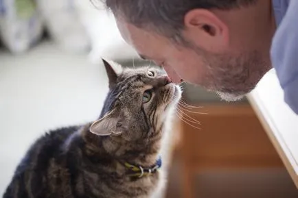 Fehér film a szemét egy macska, hogy hogyan kell kezelni, 6. fotó, videó