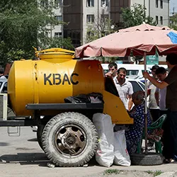 Üzleti terv értékesítése kuvasz az utcán