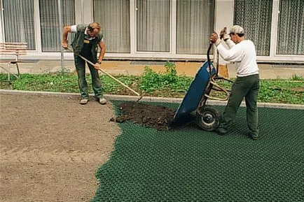 Blog - szól a vidéki élet - növény a kertben határon