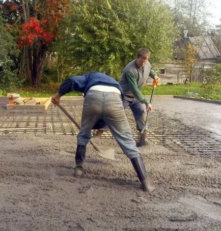 Blog - szól a vidéki élet - növény a kertben határon