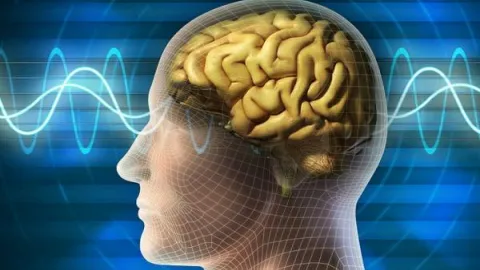 Izomsorvadásos laterális szklerózis, mi ez, fotók