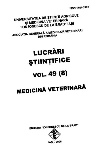 keratitis