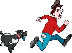 Félelem a kutyák (cynophobia) okai, tünetei és kezelése