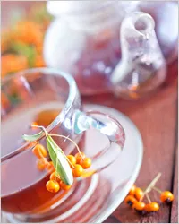 Tea galagonya - teák