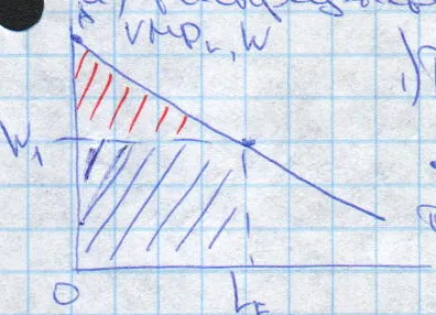A költségvetési korlát a vállalat