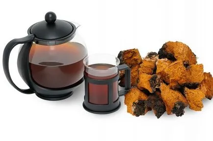 Tea gomba - egyszerű receptek