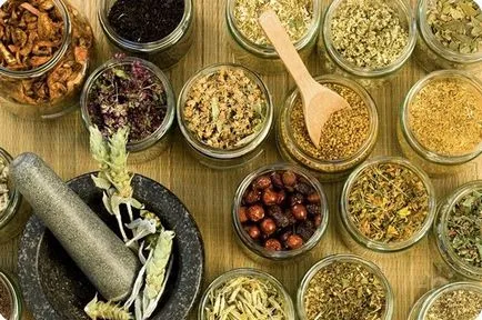 Chyawanprash leírása, összetétele, működése, használati utasítás