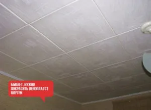 A festék festék hab típusok és alkalmazási módszerek (hab) A festék hab típusok és módszerek alkalmazása festék