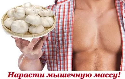 A fokhagyma hasznos tippeket férfiak minden alkalomra! (Fokhagyma) A fokhagyma hasznos tippeket férfiak minden alkalomra!