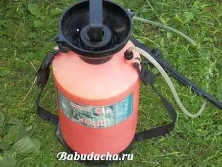 A spray a burgonyabogár, hétvégi ház