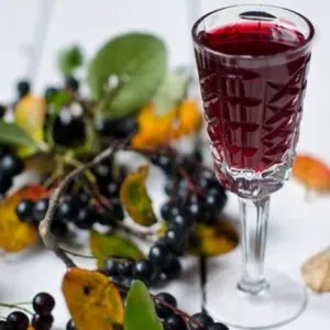 Chokeberry hasznos tulajdonságok, élelmiszer és egészség (Rowan) Berkenye hasznos tulajdonságok, az élelmiszerek és az egészség