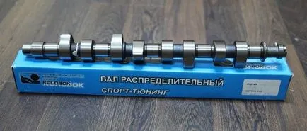 Chip tuning-pozitív és negatív oldala