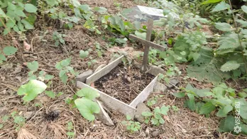 Mi köze egy halott barátja