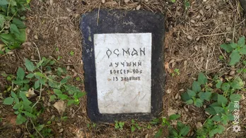 Mi köze egy halott barátja