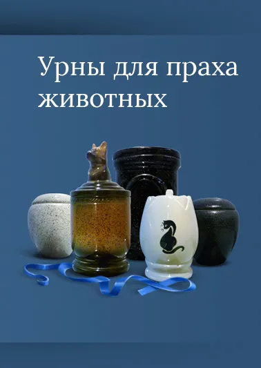 Mi van, ha a kutya meghalt