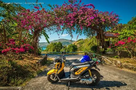 Mi van, ha esett moped