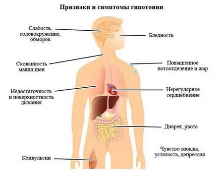 Mi a teendő, ha gyermeke 5, 6, 7, 10 éves fejfájás fejfájás kezelésére gyermekeknél (gyermek) Mi a teendő, ha gyermeke 5, 6, 7, 10 éves fejfájás fejfájás kezelésére gyermekeknél