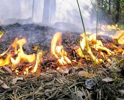 Mi a teendő tűz egy bérház (a tűz egy sokemeletes épületben) Mi a teendő tűz esetén a toronyházban