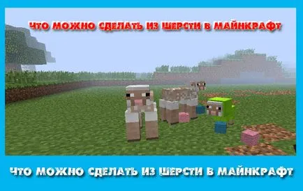 Mit lehet tenni a gyapjú maynkraft blog - Azt a játékot