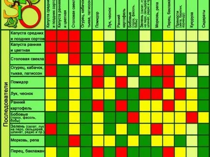 Hogy lehet ültetni, és üvegházban a kertben, valamint uborka, ami után zöldségek jobban csinálni is (az ágy) Hogy lehet ültetni, és üvegházban a kertben, valamint uborka, ami után zöldségek jobban csinálni is