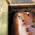 Mit kell vásárolni a temetésre az első helyen, az önkormányzati szolgáltatás temetkezési szolgáltatások (temetés) Mit kell vásárolni a temetésre az első helyen, az önkormányzati szolgáltatások temetkezési szolgáltatások