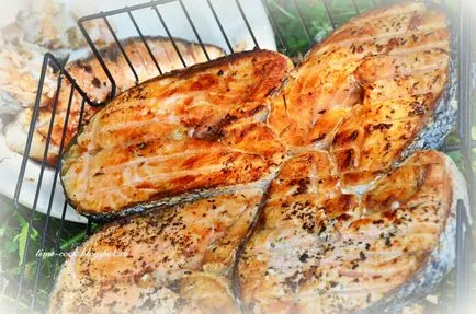 Mi lehet sült helyett kebab a természetre vagy az ország - 9 legjobb alternatíva saslik (kebab fáradt) Mi lehet sült helyett kebab a természetre vagy az ország - 9 legjobb alternatíva kebab
