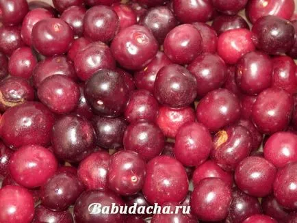 Ez táplált karbamid, hétvégi ház