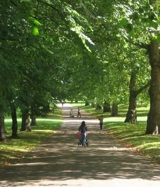 Mi a Hyde Park helyiek és a turisták