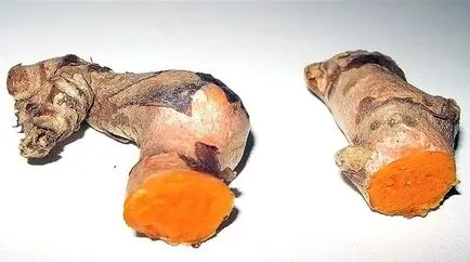 Mi kurkuma és hogyan néz ki