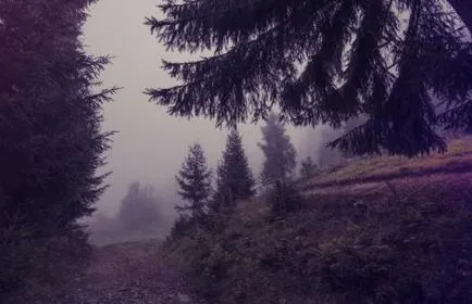 Mi kudesnichestvo, szláv kudesnichestvo (címke ezen a területen) Mi kudesnichestvo, szláv kudesnichestvo